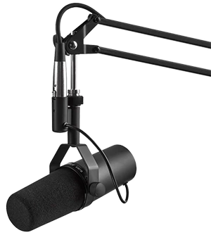 microphone